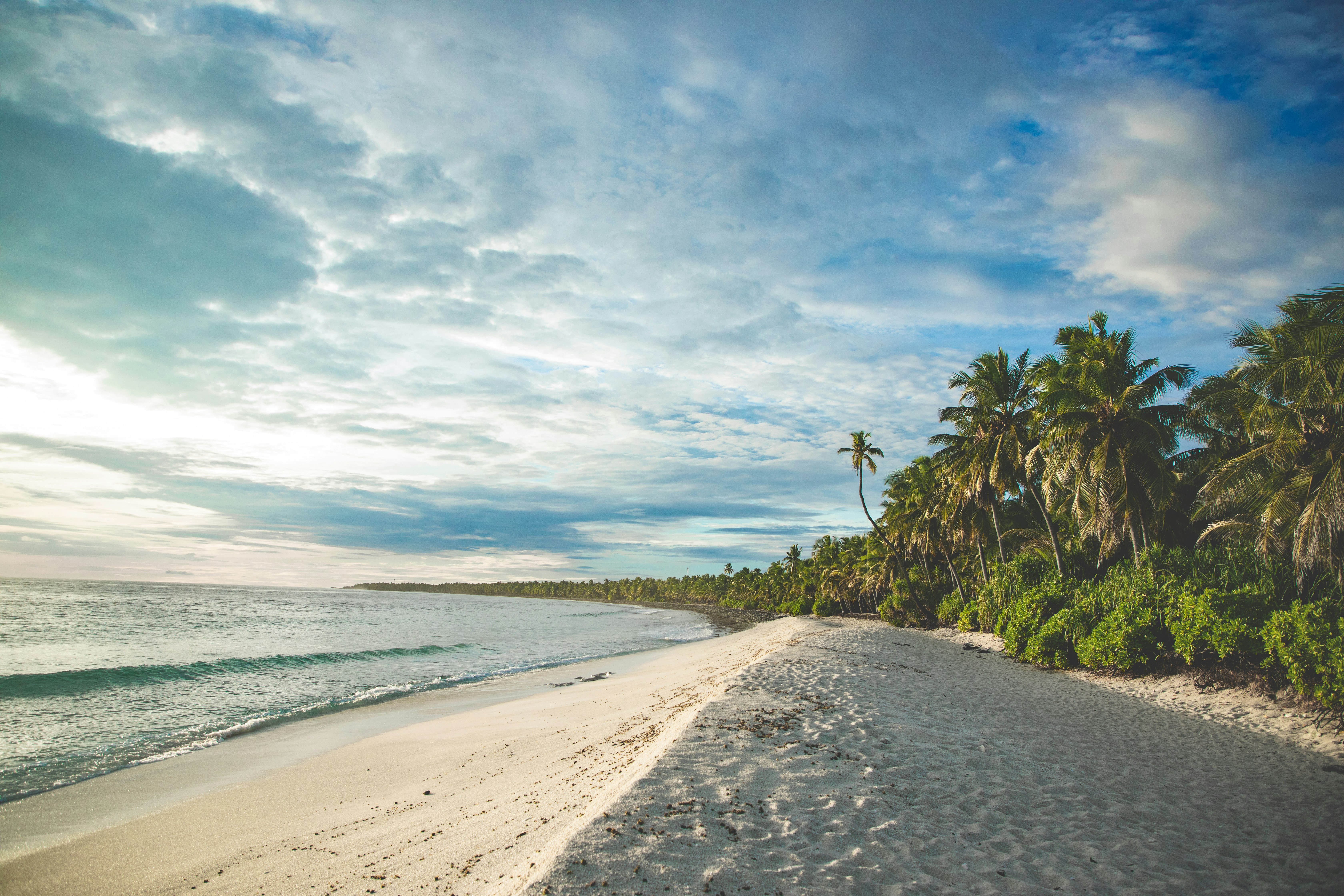 beach during daytime photo